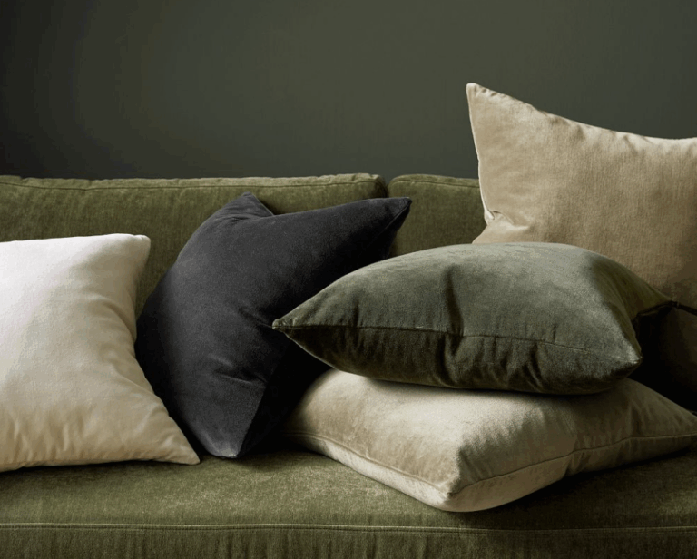 Everywhere Velvet Pillow